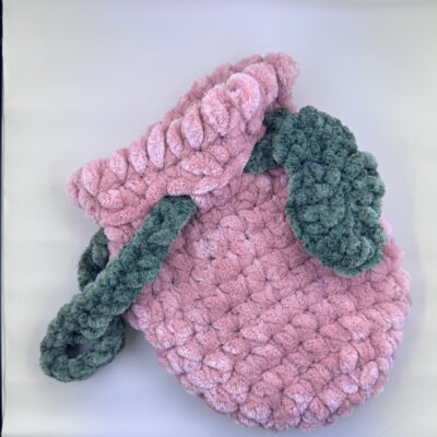 Peach Pouch / Bag