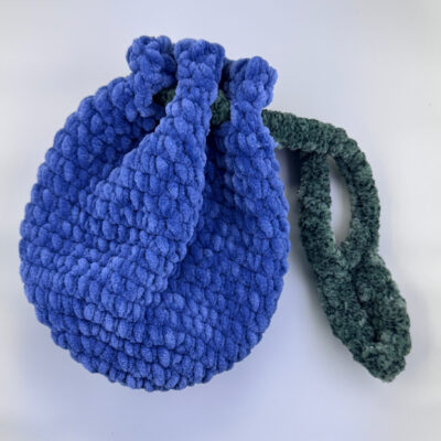Blueberry Pouch