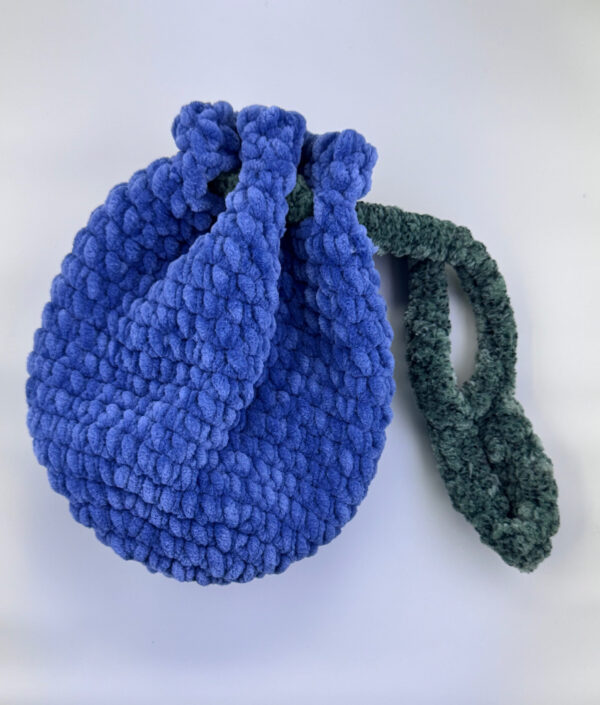 Blueberry Pouch
