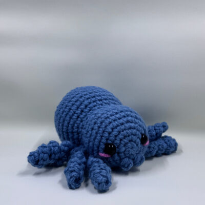 Archi the Spider