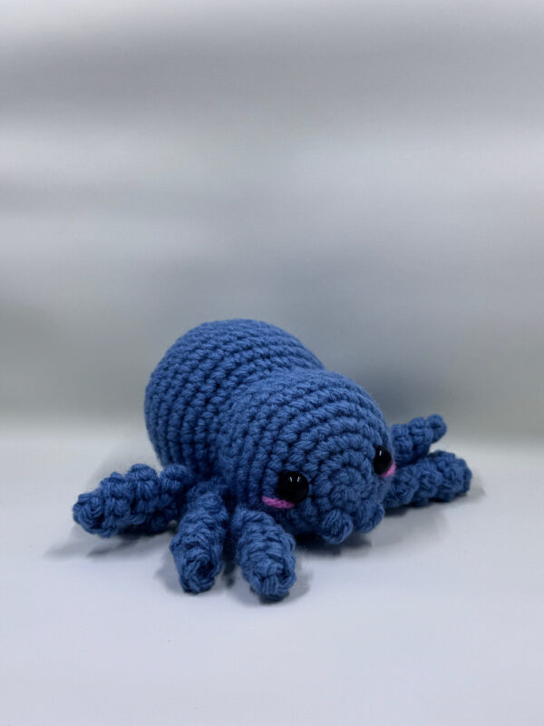 Archi the Spider