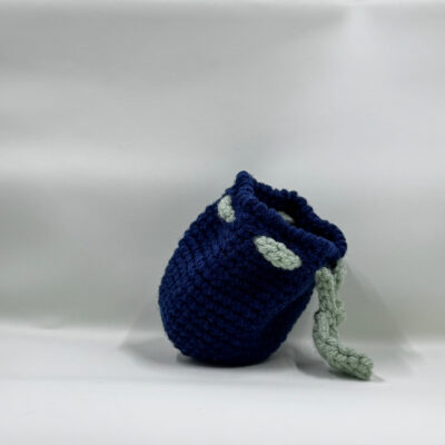 Blueberry Fruit Pouch - Small