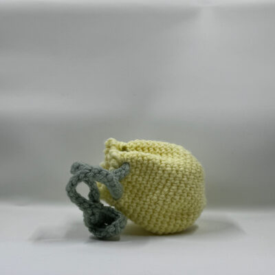 Lemon Fruit Pouch - Small